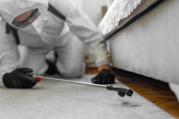 Professional Bed Bug Control technician working in Whiskey Creek, FL