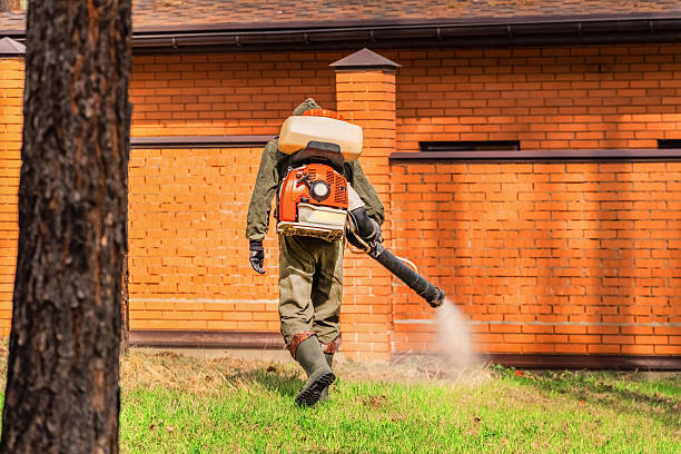 Trusted Termite Control service in Whiskey Creek, FL - Nex Pest Control